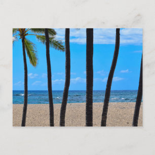 Line of Beach Palms - Hawaii - Postkarte