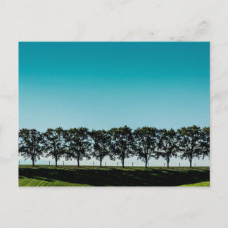 Line of Trees, Sugarcreek, Ohio Postkarte