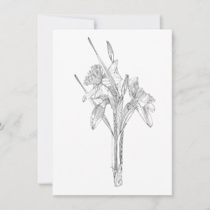 Line Sketch Daffodils Bouquet. Ankündigung