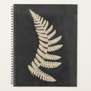 Linen Fern Planer