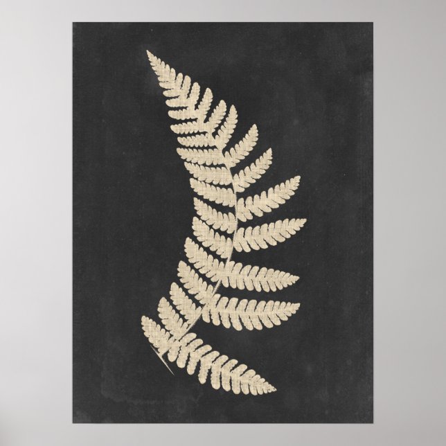 Linen Fern Poster (Vorne)