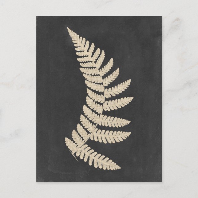 Linen Fern Postkarte (Vorderseite)