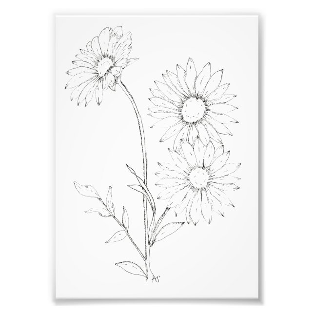 Lines & Petals Fotodruck (Vorne)