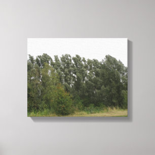 Linie der Bäume Landschaft Canvas Print Leinwanddruck