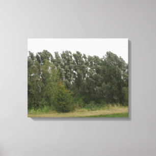 Linie der Bäume Landschaft Canvas Print Leinwanddruck