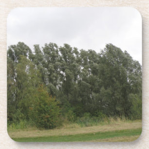 Linie der schiefen Bäume Landschaft Kork Untersetz Untersetzer
