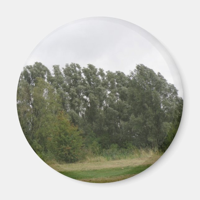 Linie der schiefen Bäume Landschaft Magnet (Vorne)