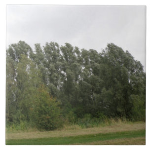 Linie der Trees Landschaftszug Tile Fliese
