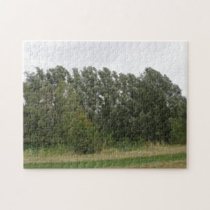 Linie der Vermietung Bäume Landschaftsrätsel Puzzle