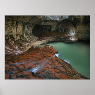 Linker Arm   Zion-Nationalpark, Utah Poster