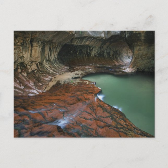 Links Gabel | Zion National Park, Utah Postkarte (Vorderseite)