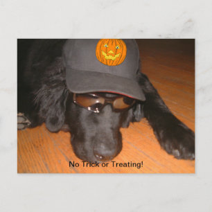 Links hinter diesem Halloween Postkarte