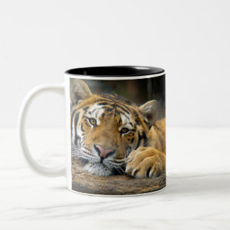 Linkshändige Tiger-Tasse Zweifarbige Tasse