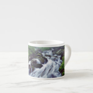 Linn Cove Creek kaskadiert durch nebligen Espressotasse