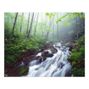 Linn Cove Creek kaskadiert durch nebligen Fotodruck