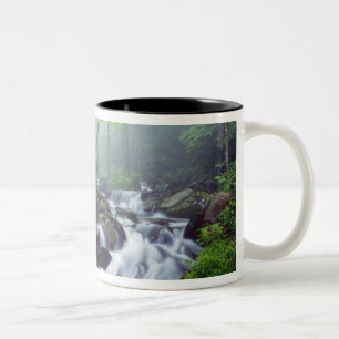 Linn Cove Creek kaskadiert durch nebligen Zweifarbige Tasse