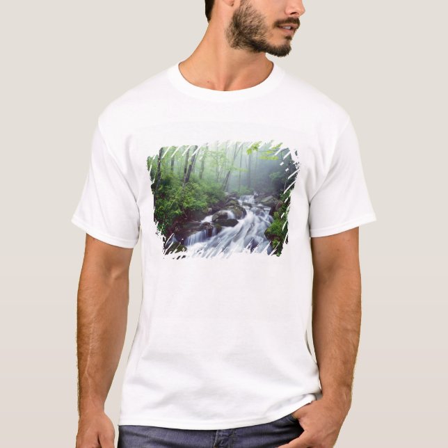 Linn Cove Creek Kaskadierung durch Nebel T-Shirt (Vorderseite)