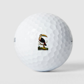 Linnaeus Birds - Toucan Golfball