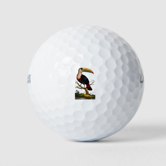 Linnaeus Birds - Toucan Golfball (Vorderseite)