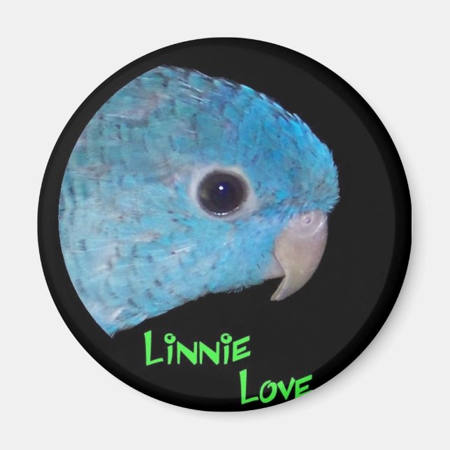 Linnie Liebe Magnet (Vorne)