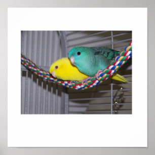 Linnies Stange Poster