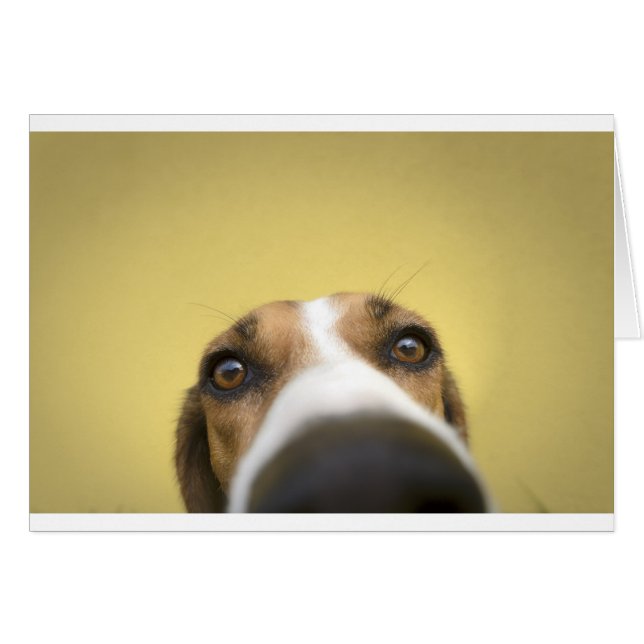 Linsenreiniger (Vorderseite (Horizontal))