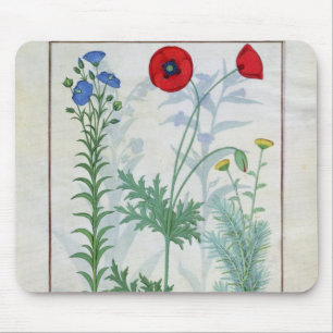 Linum, Klatschmohn und Abrotanum Mousepad