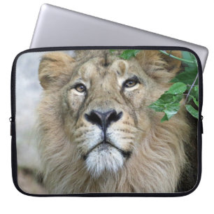 Lion 002 laptopschutzhülle