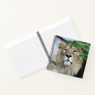 Lion 002 notizbuch