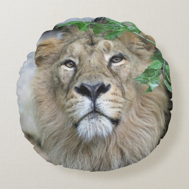 Lion 002 rundes kissen (Vorderseite)