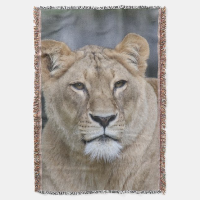 Lion 004 decke (Vorderseite Vertikal)