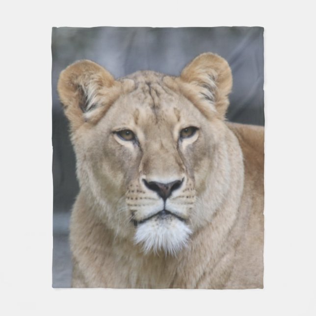 Lion 004 fleecedecke (Vorderseite)