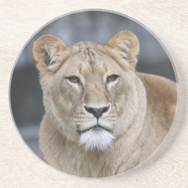 Lion 004 getränkeuntersetzer (Vorne)