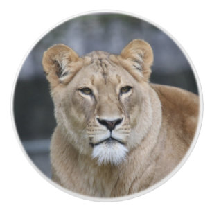 Lion 004 keramikknauf