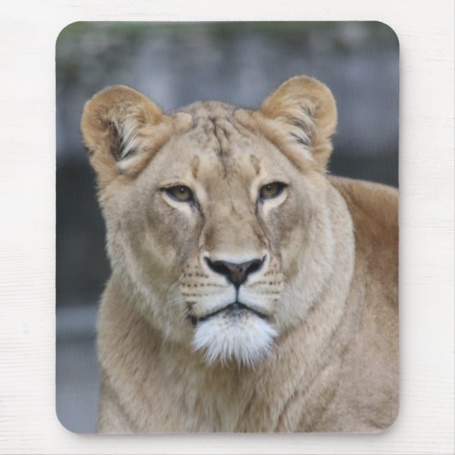 Lion 004 mousepad (Vorne)
