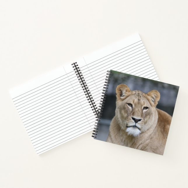 Lion 004 notizbuch (Innenseite)