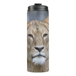 Lion 004 thermosbecher
