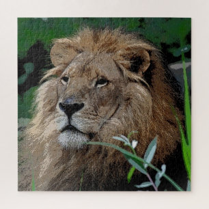 Lion 008 von JAMFoto Puzzle