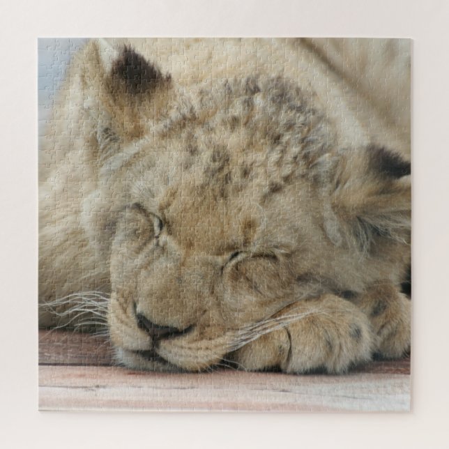 Lion 009 von JAMFoto Puzzle (Vertikal)