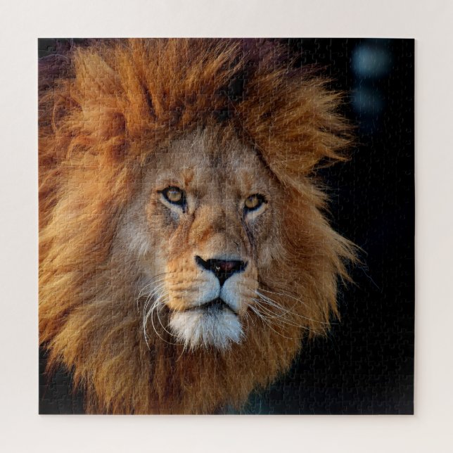 Lion 010 von JAMFoto Puzzle (Vertikal)