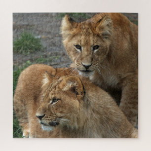 Lion 011 von JAMFoto Puzzle