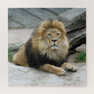 Lion 012 von JAMFoto Puzzle