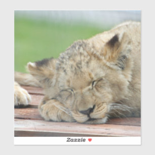 Lion 014 aufkleber
