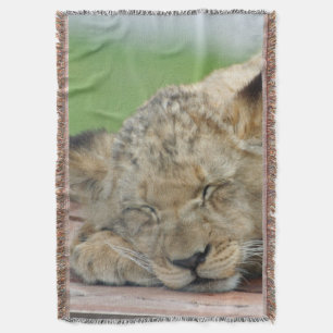 Lion 014 decke