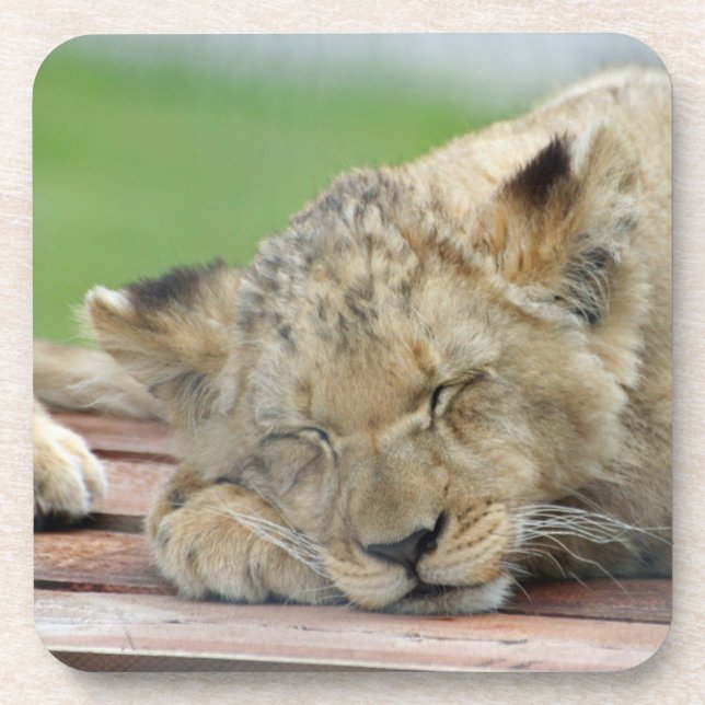 Lion 014 getränkeuntersetzer (Vorderseite)