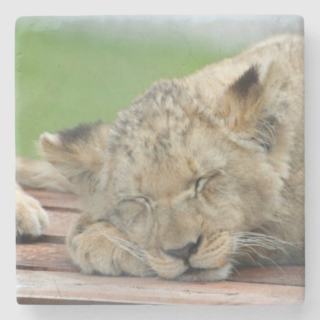 Lion 014 steinuntersetzer (Vorderseite)