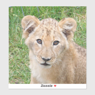 Lion 016 aufkleber