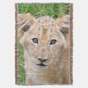 Lion 016 decke