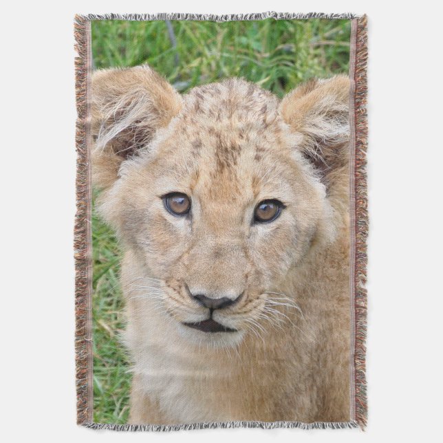 Lion 016 decke (Vorderseite Vertikal)