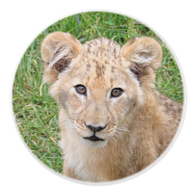 Lion 016 keramikknauf (Vorderseite)